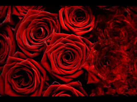 Алла Пугачева - Миллион Алых Роз_ Million of Scarlet Roses